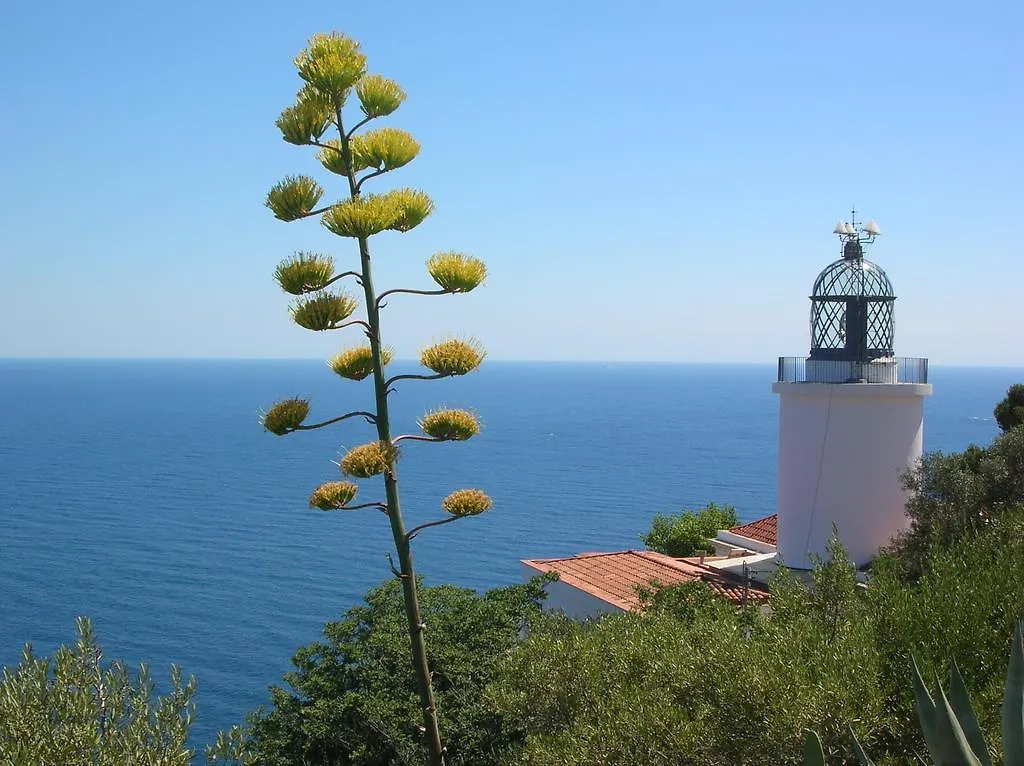 Appartement Apartament Antic Plankton - Calella Palafrugell - Free Parking, Beach, Wifi, Perfect Holidays Calella De Palafrugell