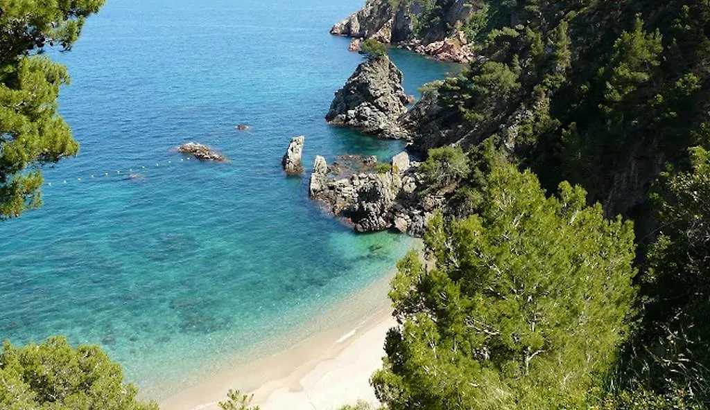 Apartament Antic Plankton - Calella Palafrugell - Free Parking, Beach, Wifi, Perfect Holidays Calella De Palafrugell 0*,